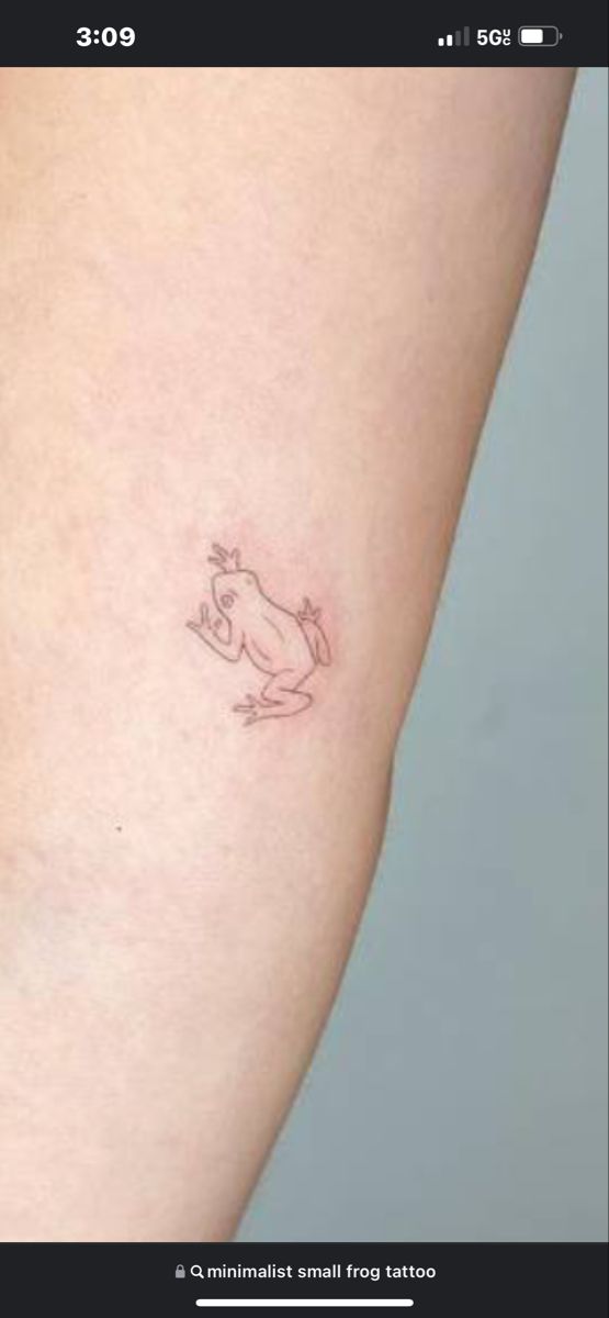 adorable small frog tattoo variations