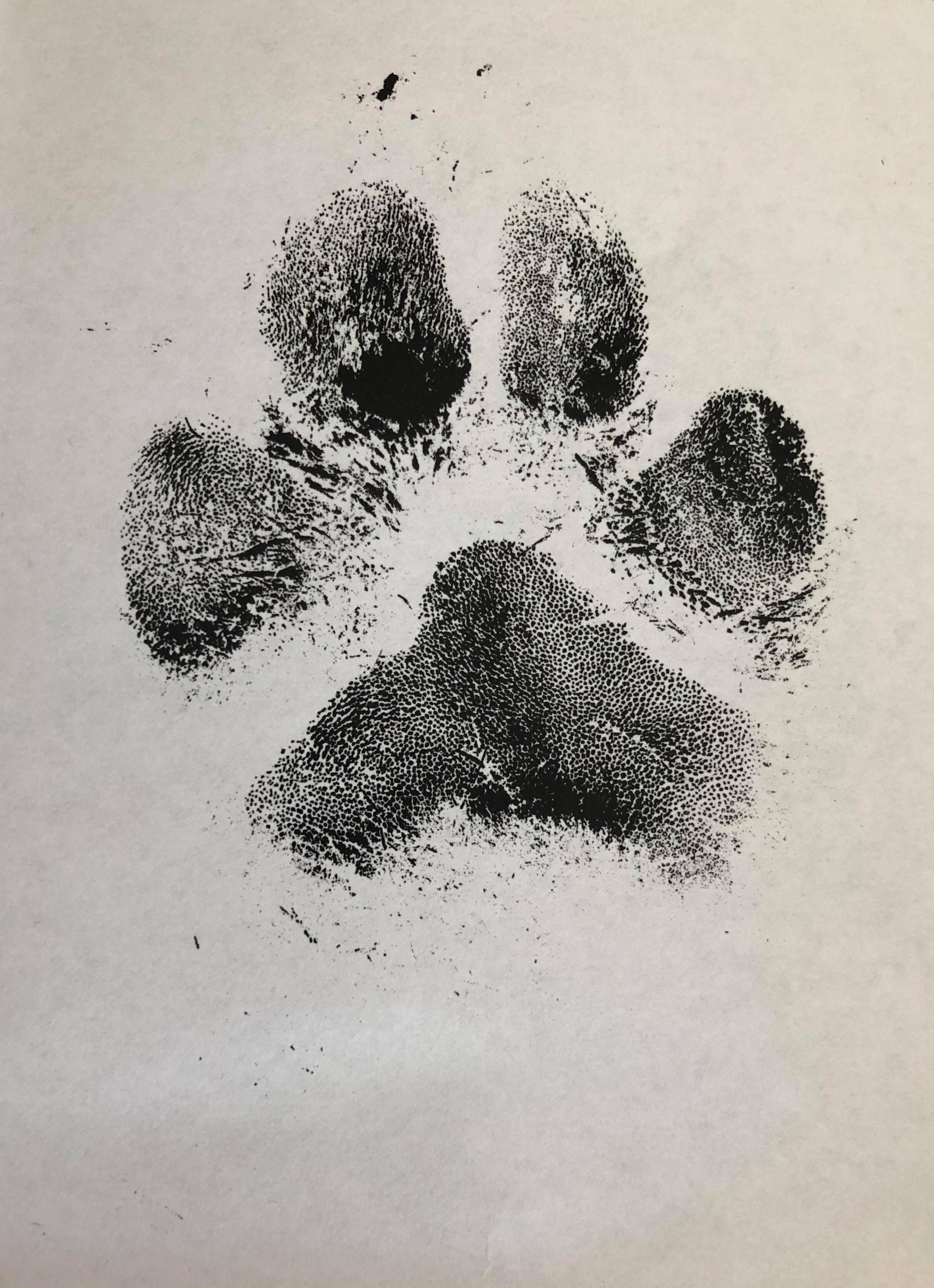 animal paw tattoo ideas 0044