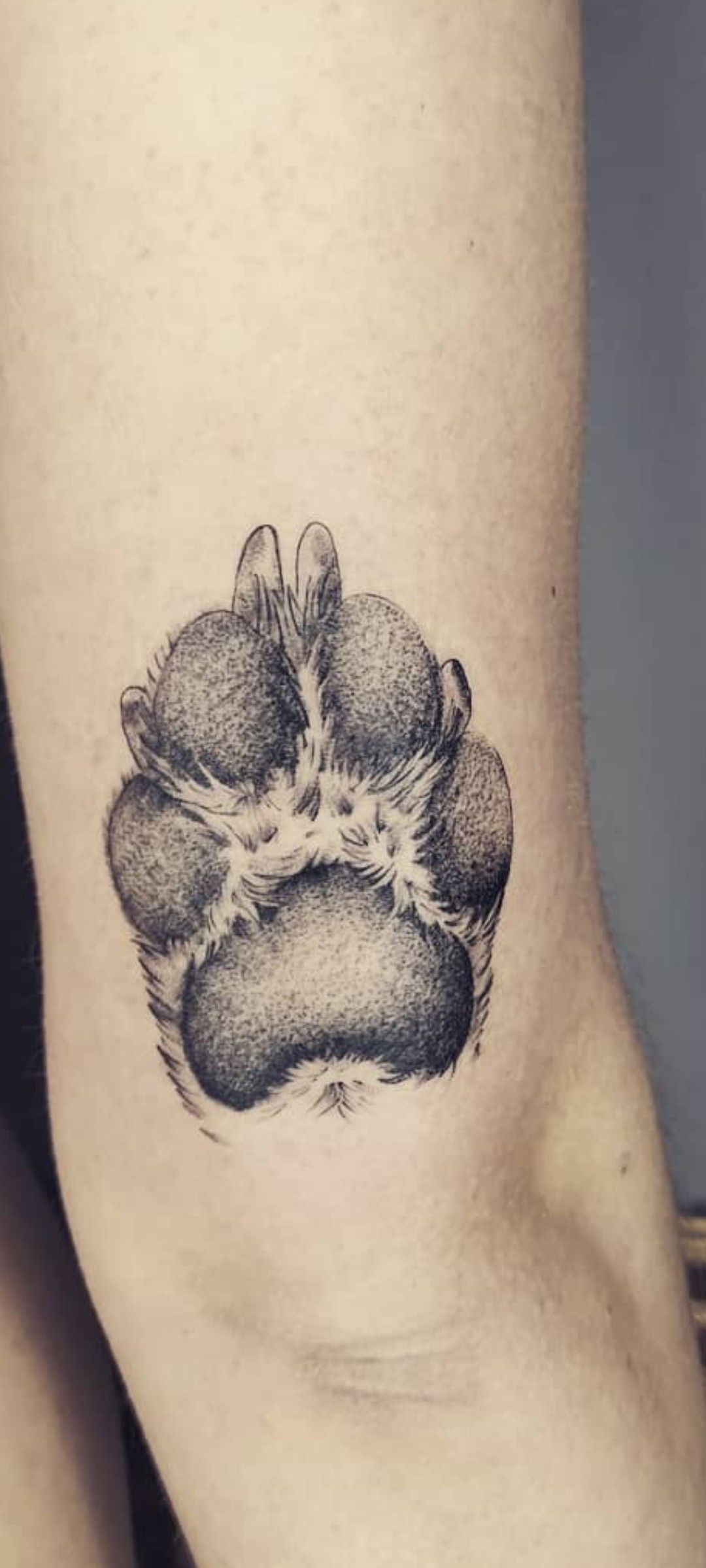 animal paw tattoo ideas 0069