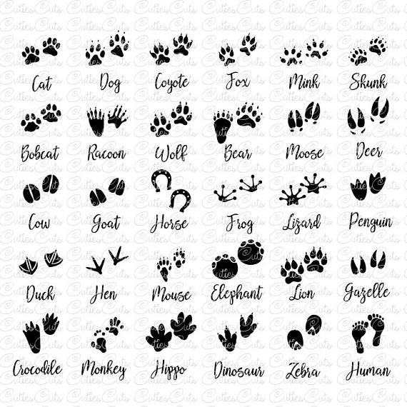 animal paw tattoo ideas 0071