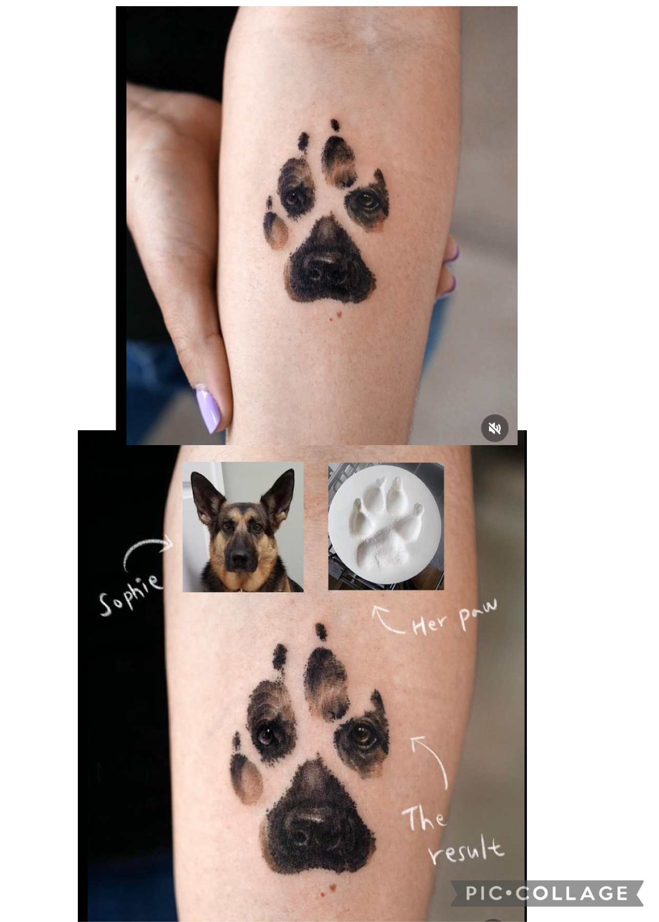 animal paw tattoo ideas 0079