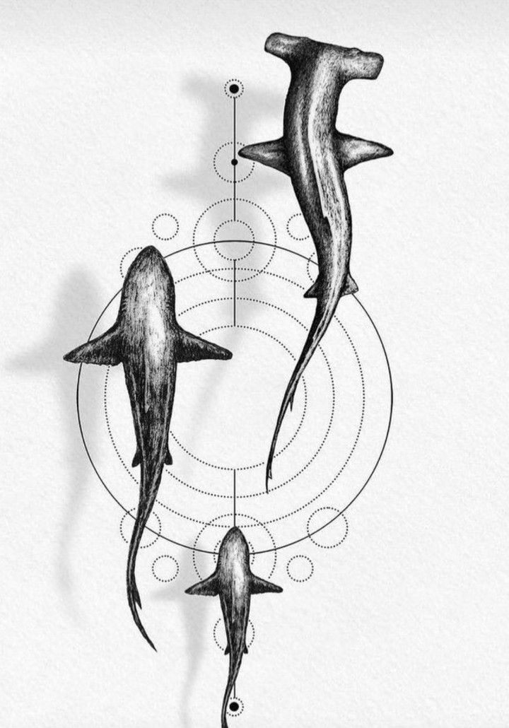 artistic shark tattoo ideas