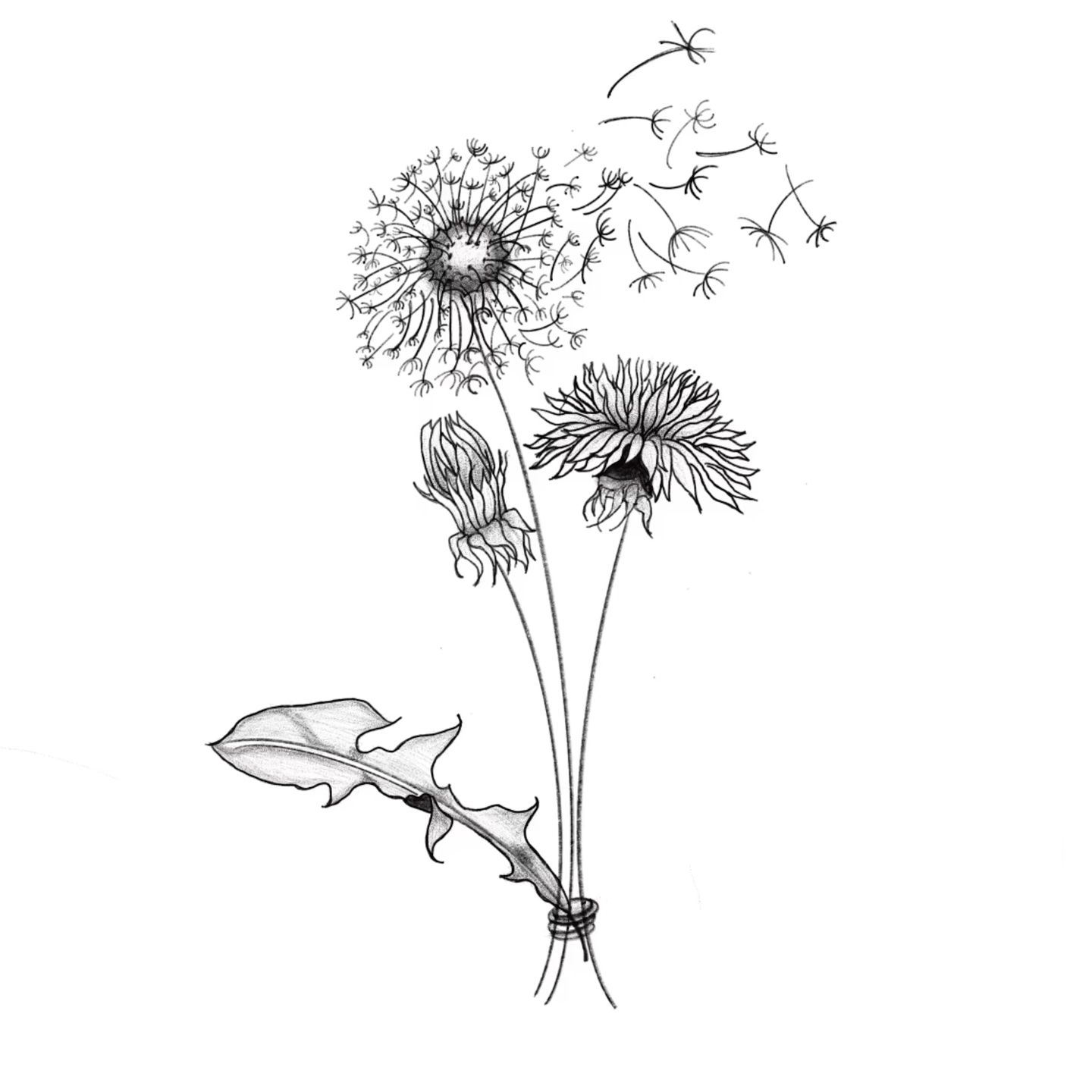 artistic small dandelion tattoo options