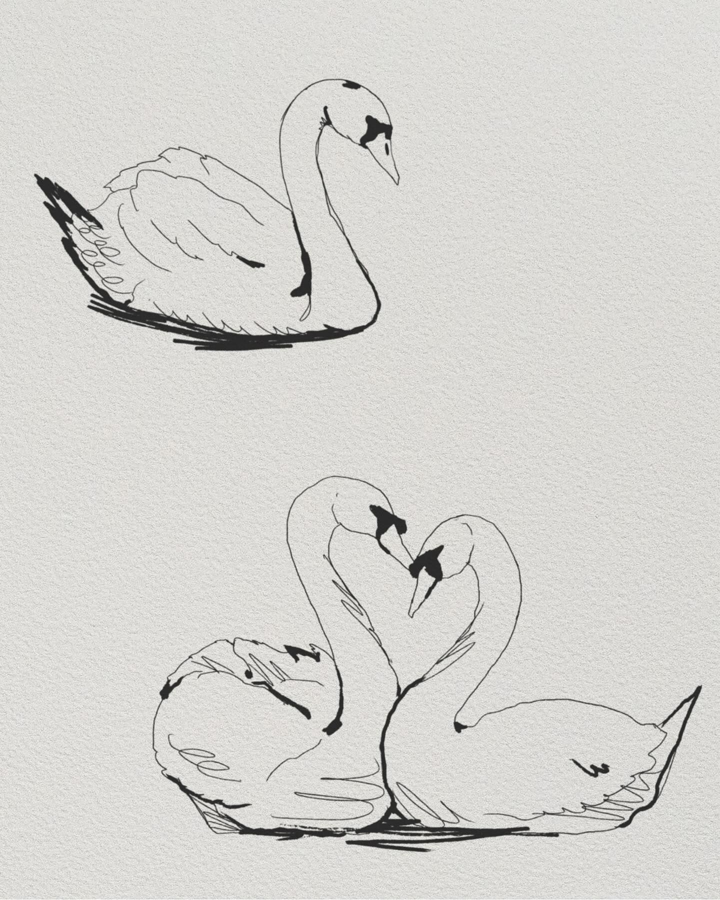 artistic swan tattoo illustrations