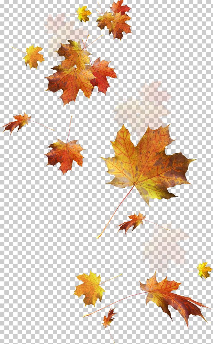 autumn tattoo ideas 0070