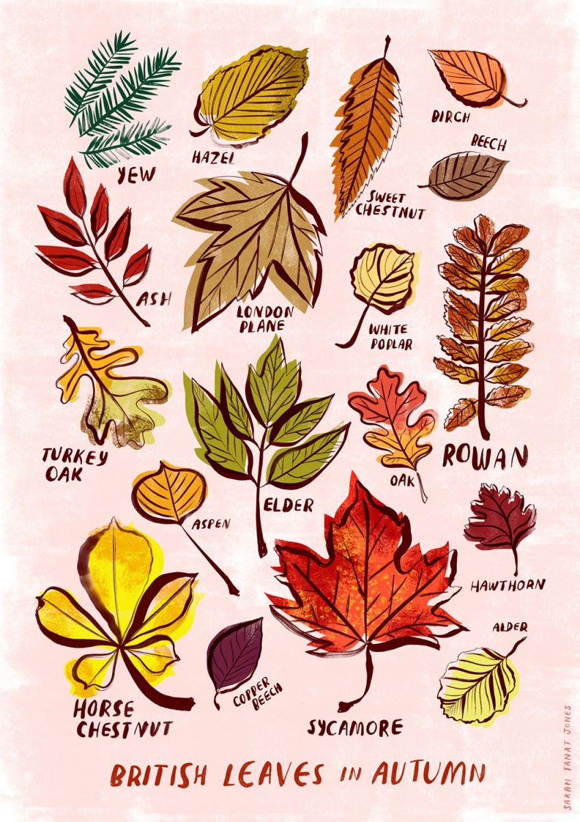 autumn tattoo ideas 0098