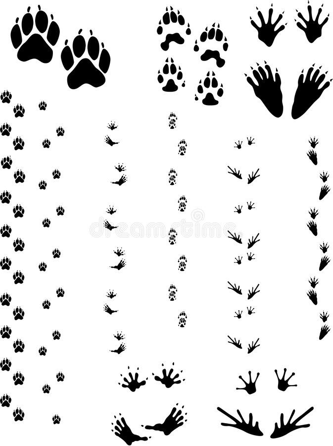 Bear paw tattoo ideas 0017