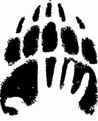 Bear paw tattoo ideas 0019