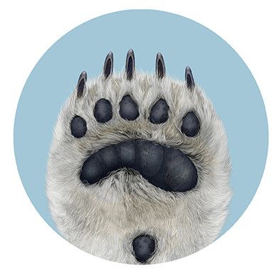 Bear paw tattoo ideas 0026