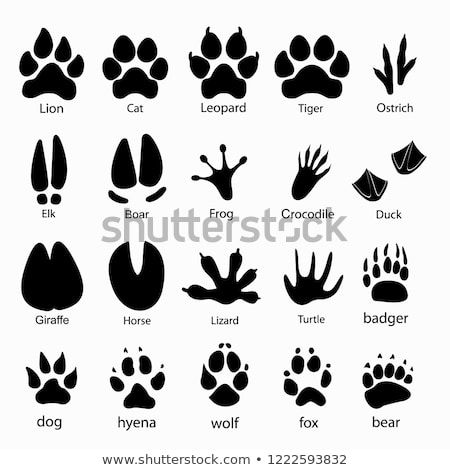 Bear paw tattoo ideas 0037