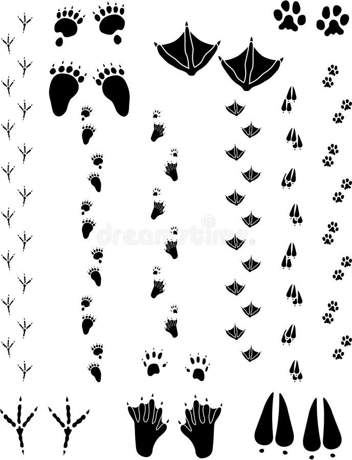 Bear paw tattoo ideas 0060