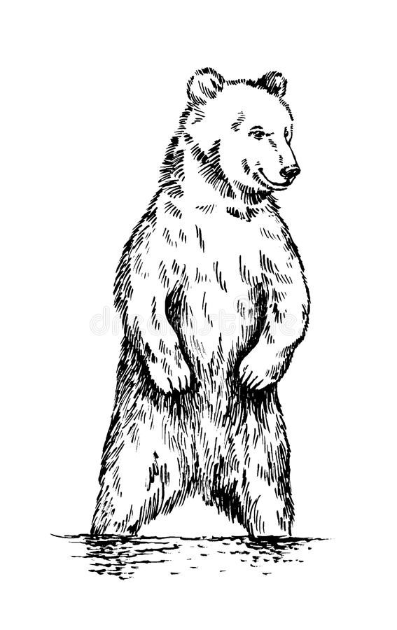 bear tattoo ideas 0055