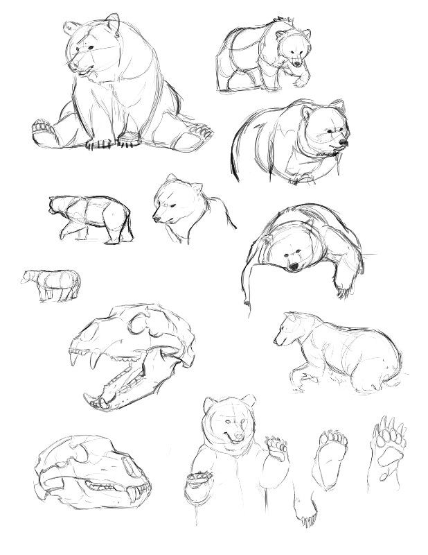 bear tattoo ideas 0060