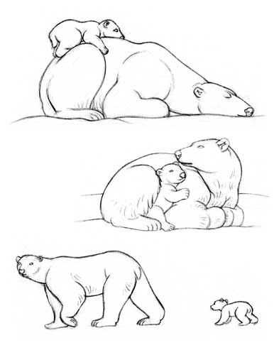 bear tattoo ideas 0063