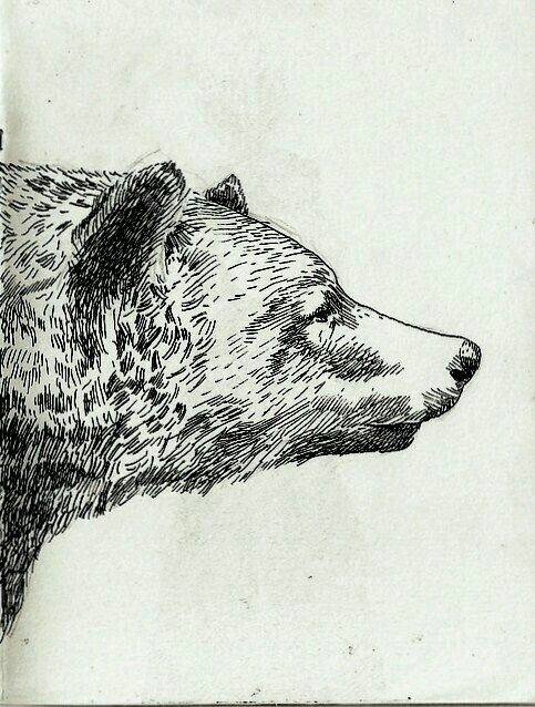 bear tattoo ideas 0070