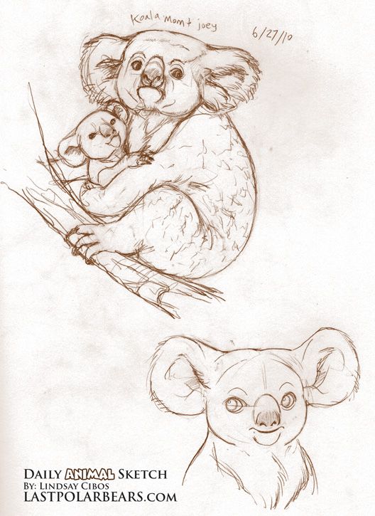 bear tattoo ideas 0092