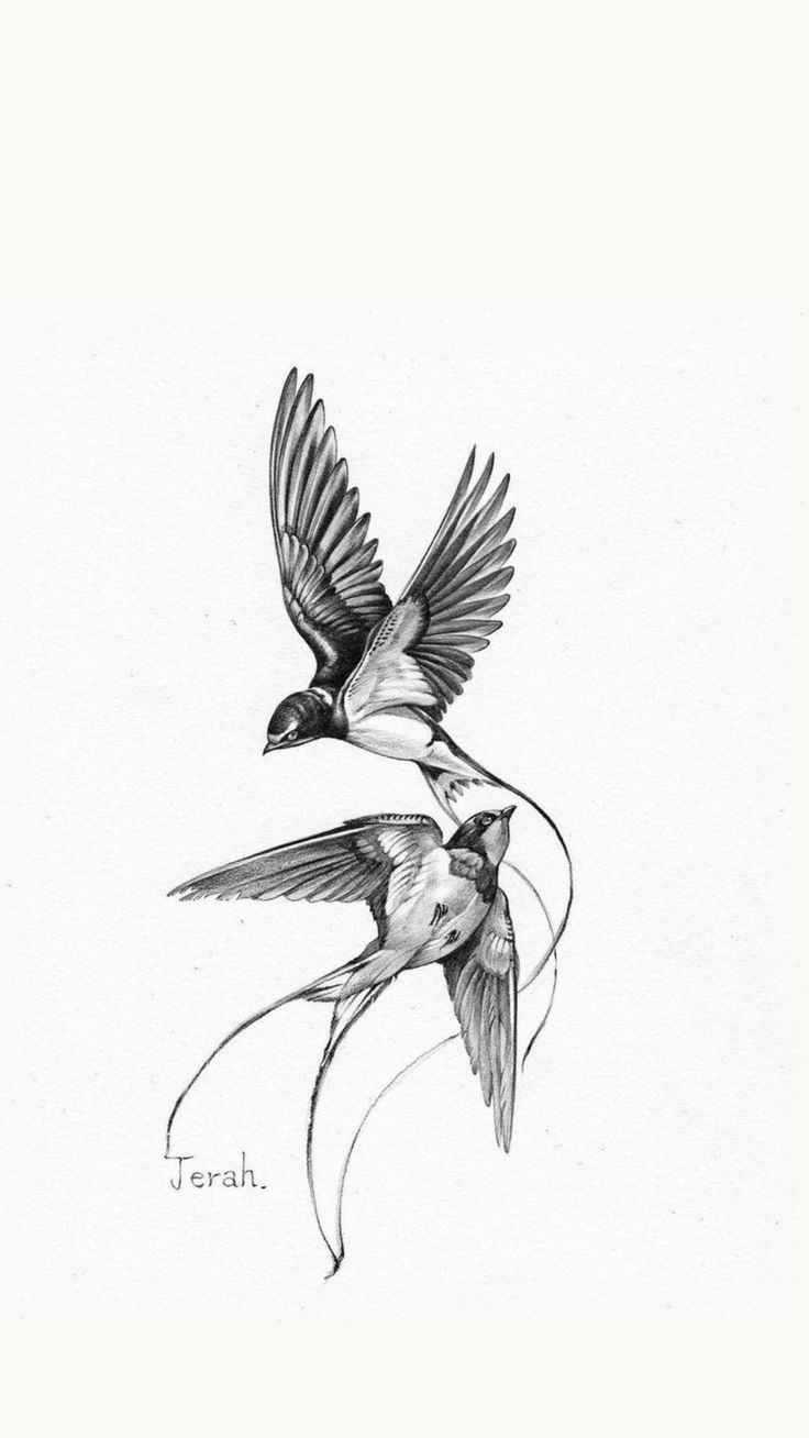 small bird tattoo designs 0011