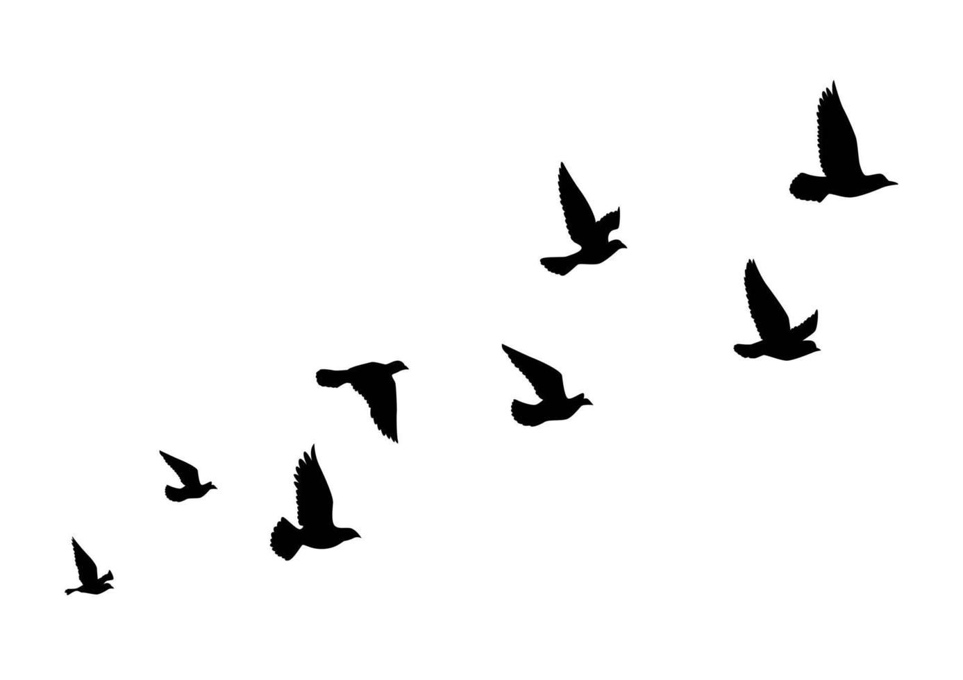 small bird tattoo designs 0012