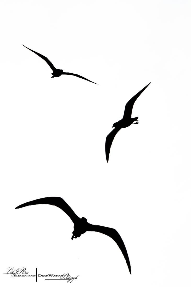 small bird tattoo designs 0014