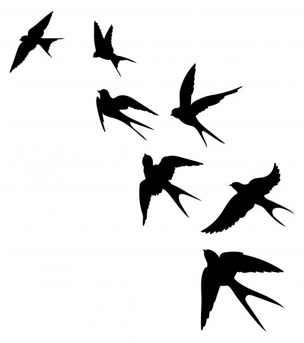 small bird tattoo designs 0021