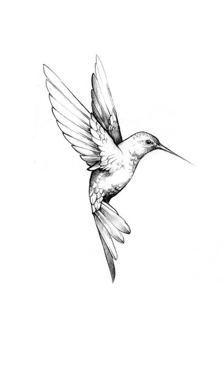 small bird tattoo designs 0026