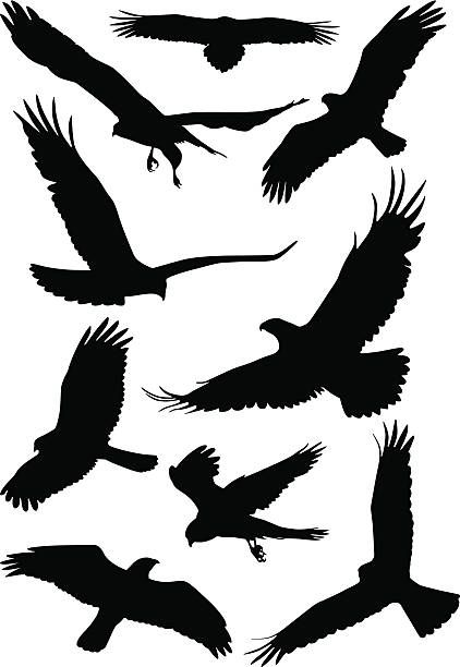 small bird tattoo designs 0044