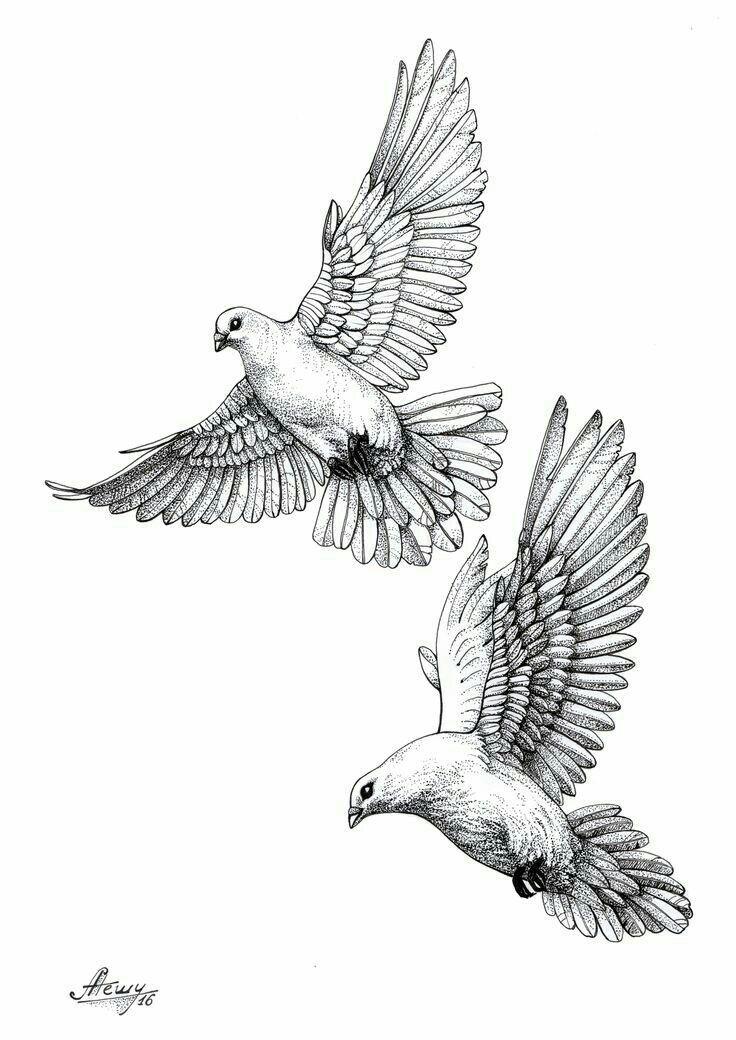 small bird tattoo designs 0047