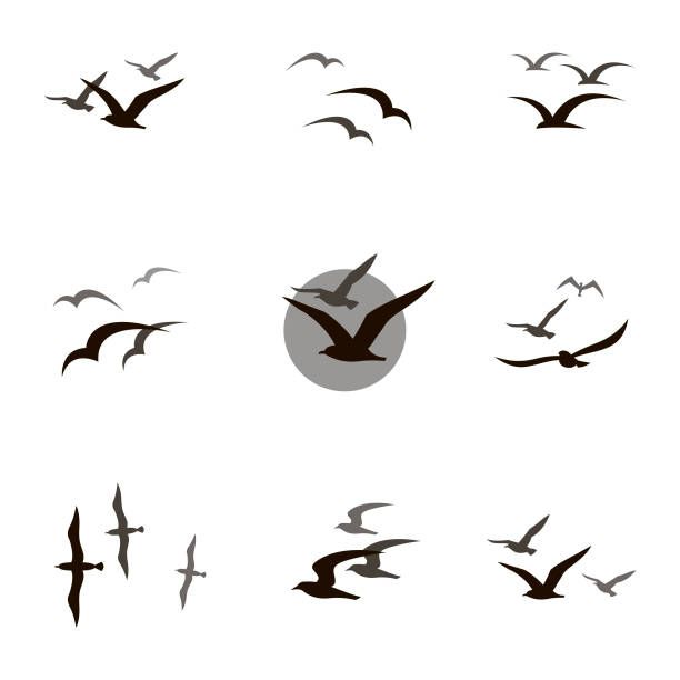 small bird tattoo designs 0065