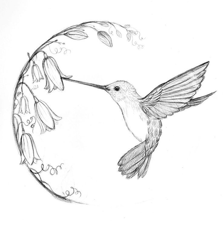 small bird tattoo designs 0079