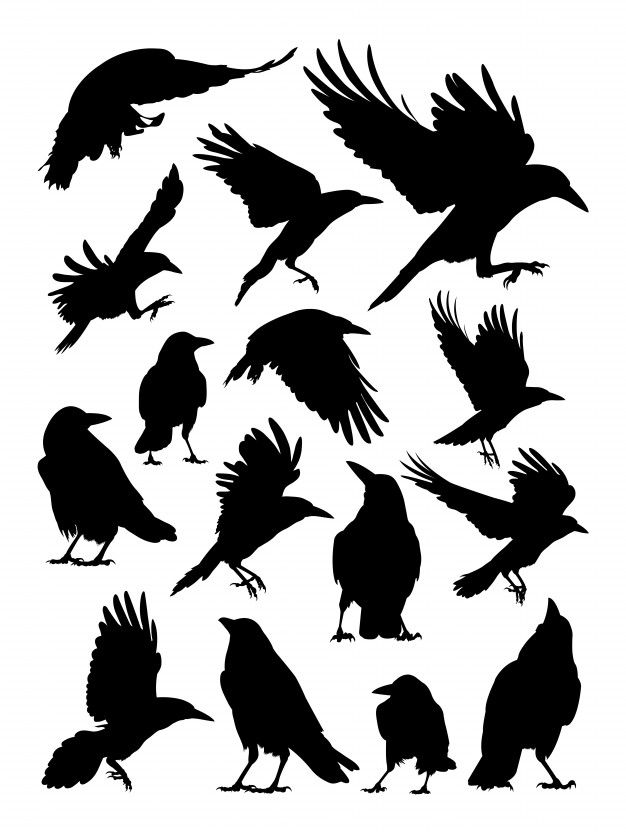 small bird tattoo designs 0080