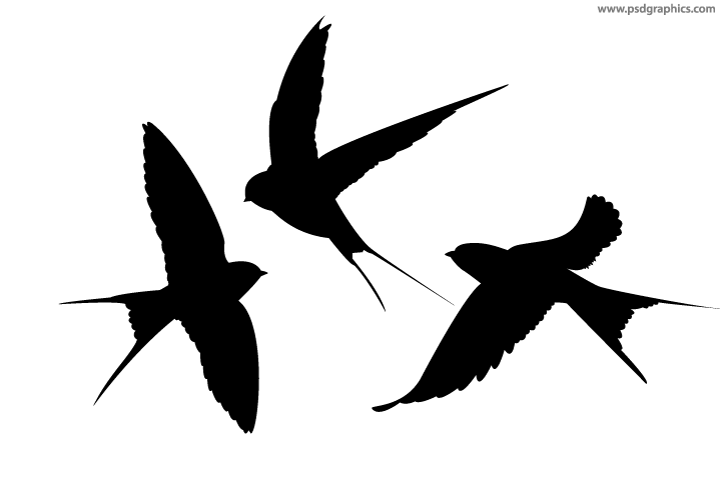 small bird tattoo designs 0093