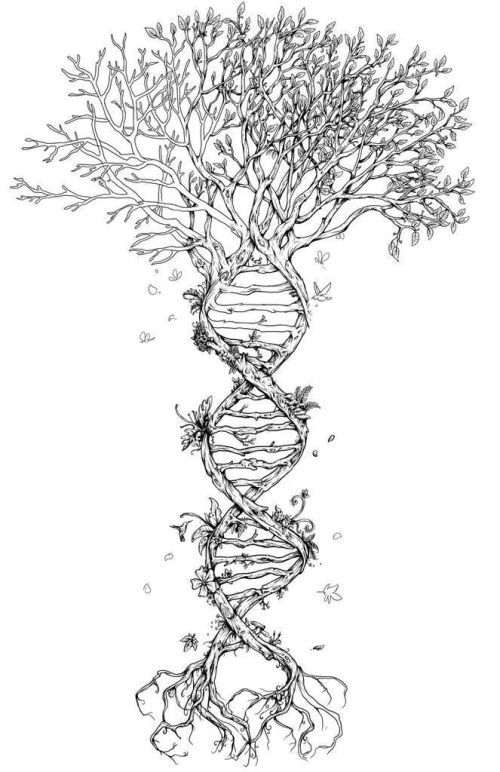 black and gray tree of life tattoo images.