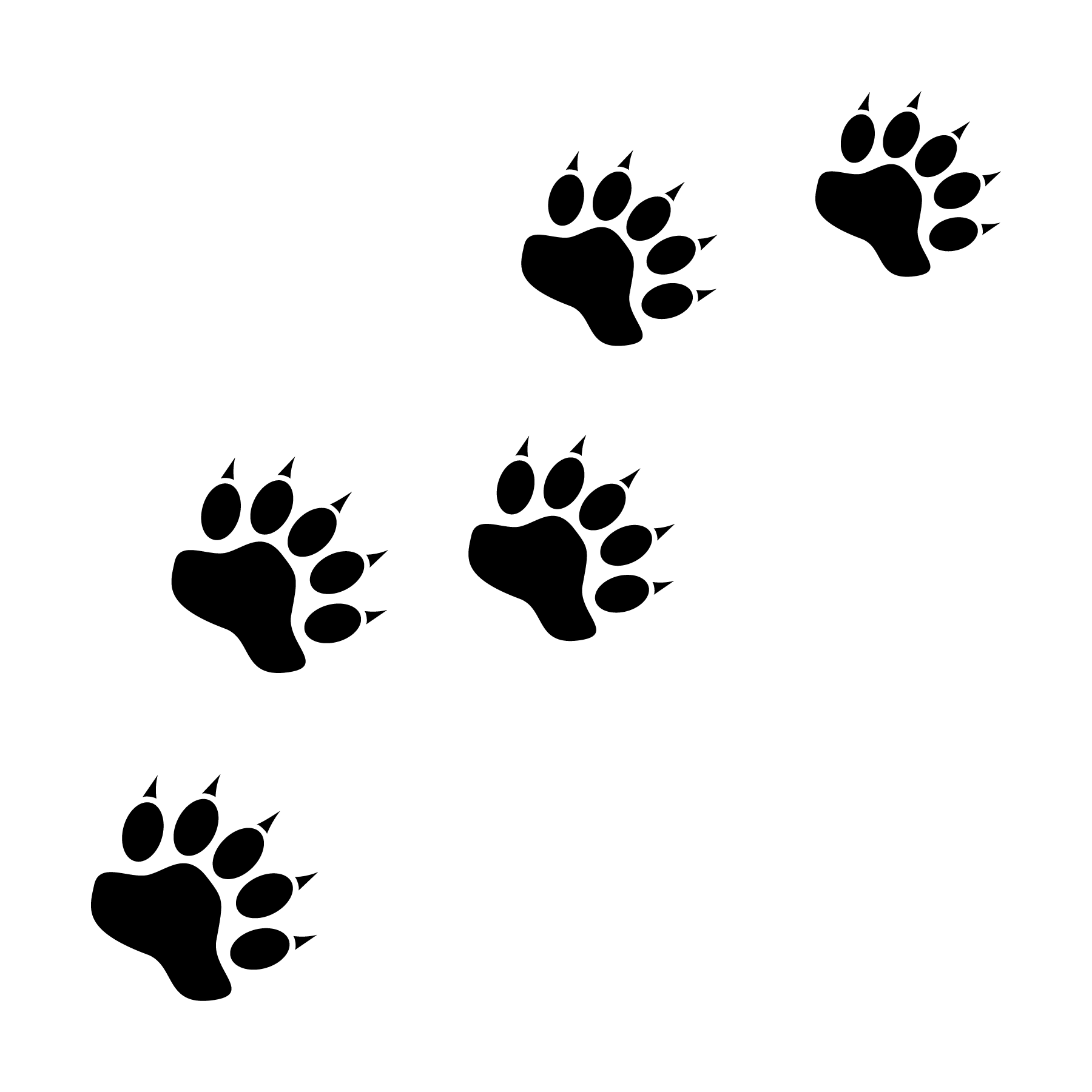 Black bear tattoo ideas 0067