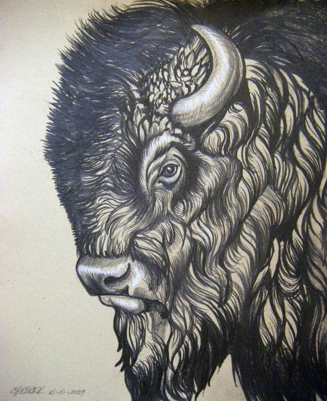 buffalo tattoo ideas 0027