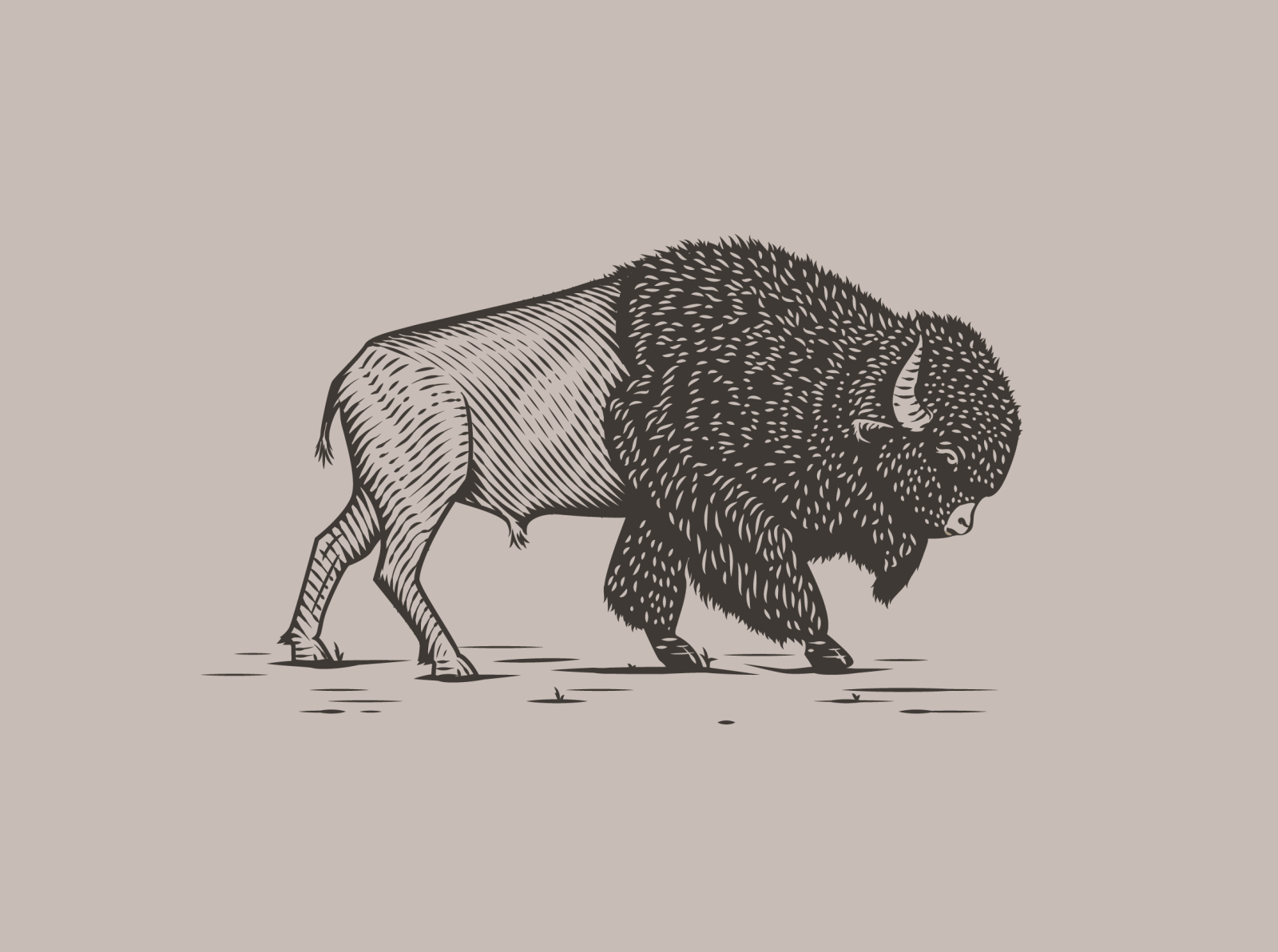 buffalo tattoo ideas 0064