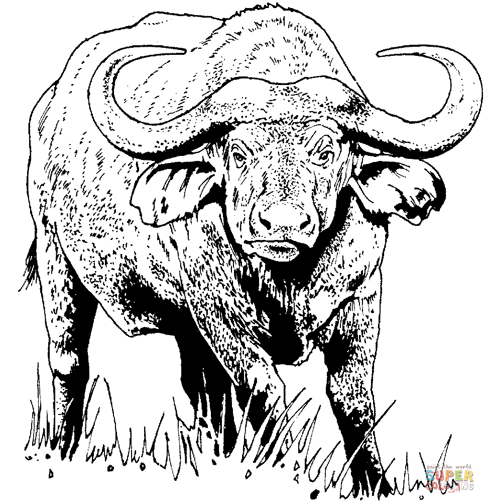 buffalo tattoo ideas 0075