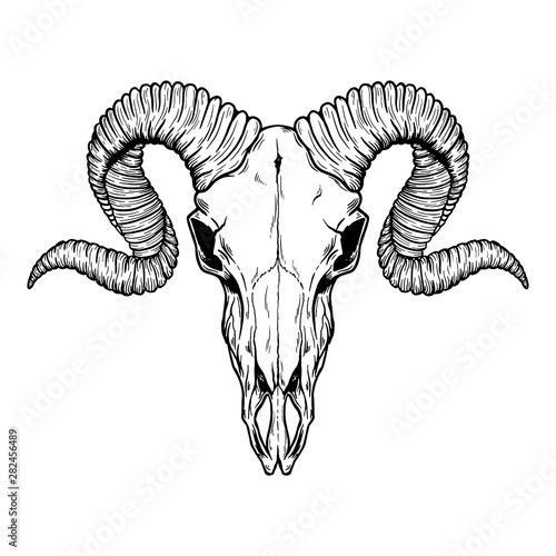 buffalo tattoo ideas 0097