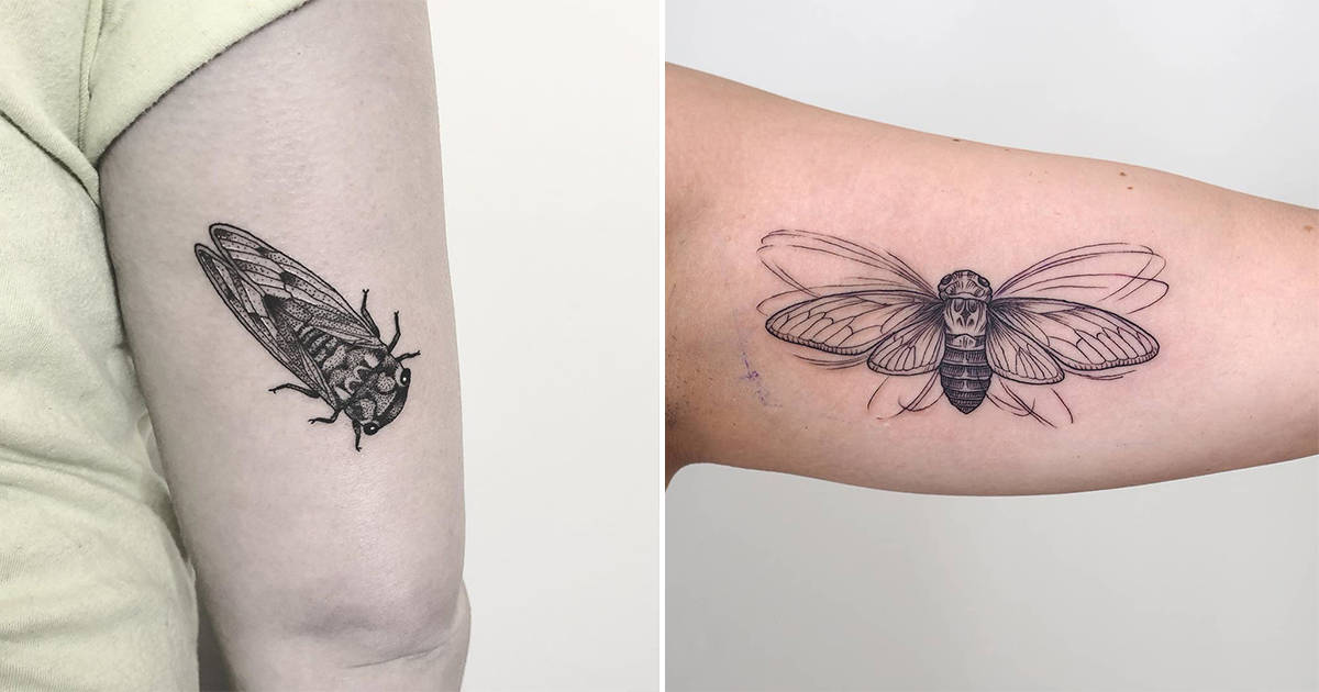 bug tattoo ideas 0043