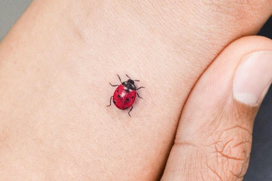 bug tattoo ideas 0046