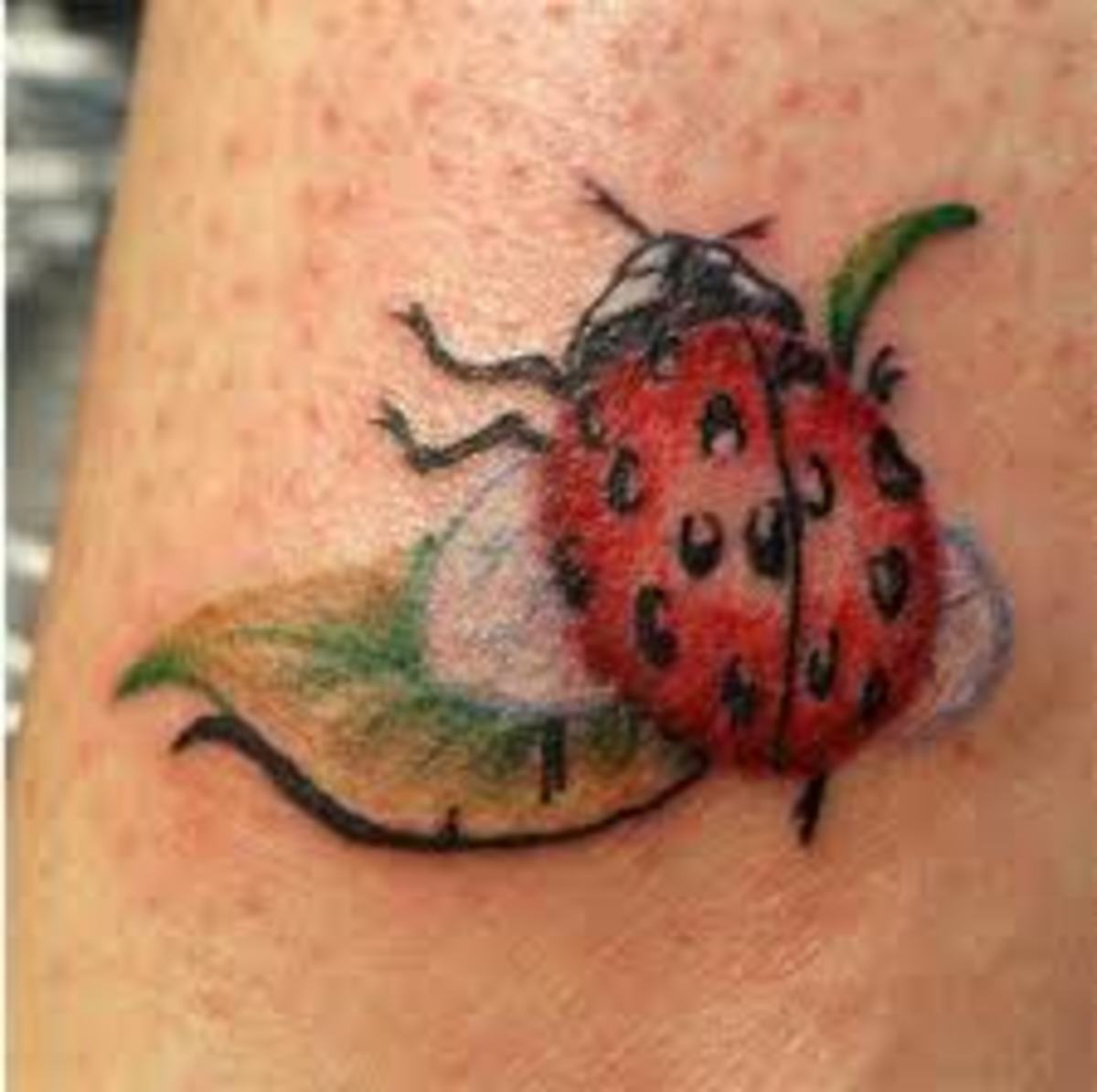 bug tattoo ideas 0048