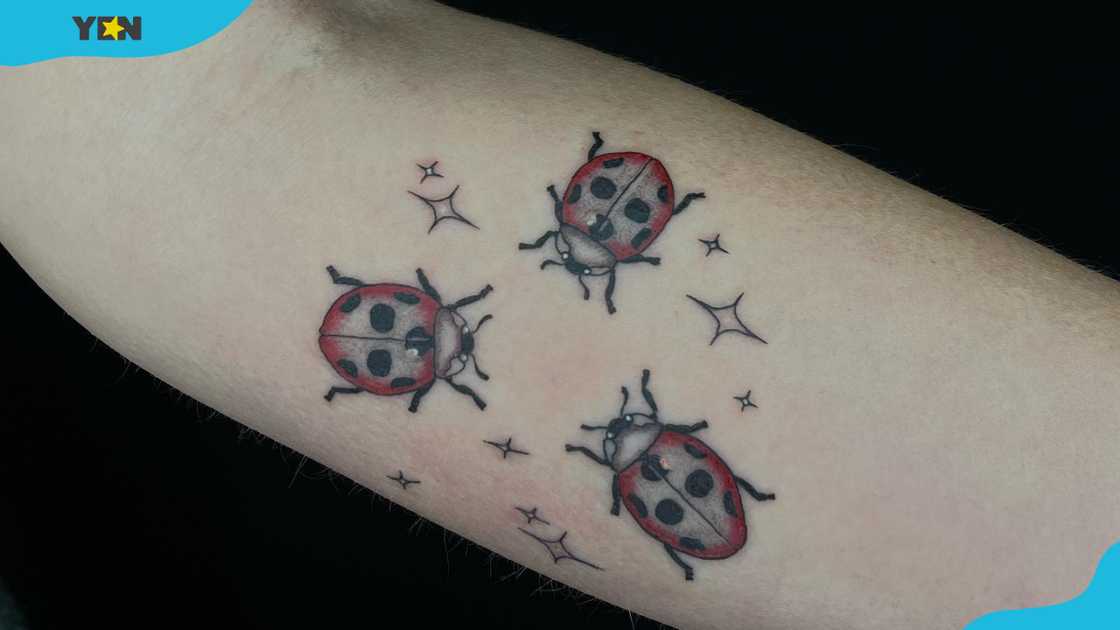 bug tattoo ideas 0051