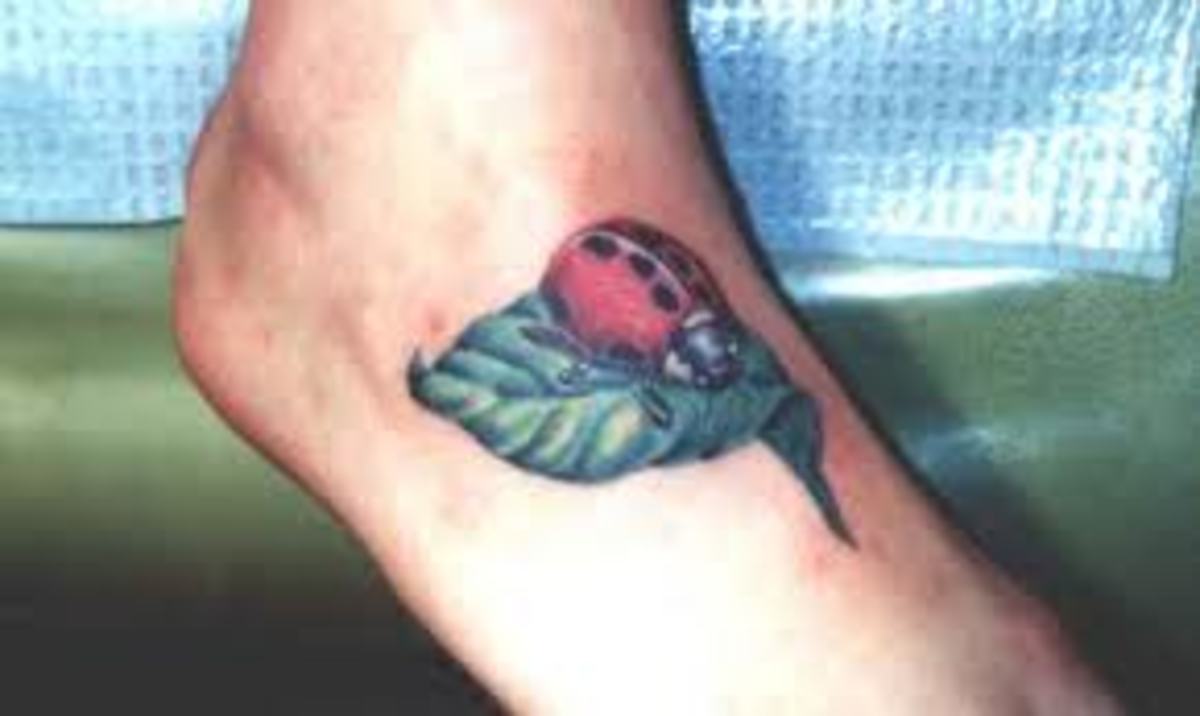 bug tattoo ideas 0067