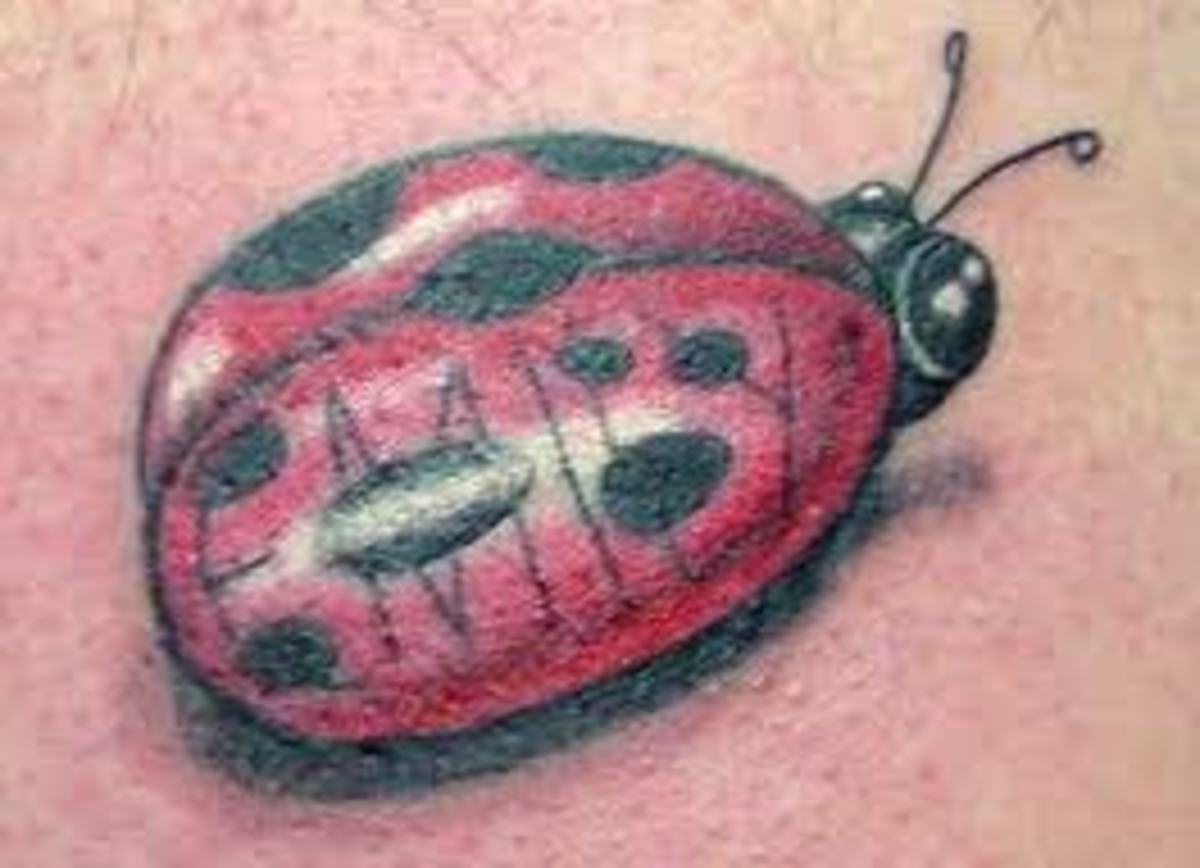 bug tattoo ideas 0077