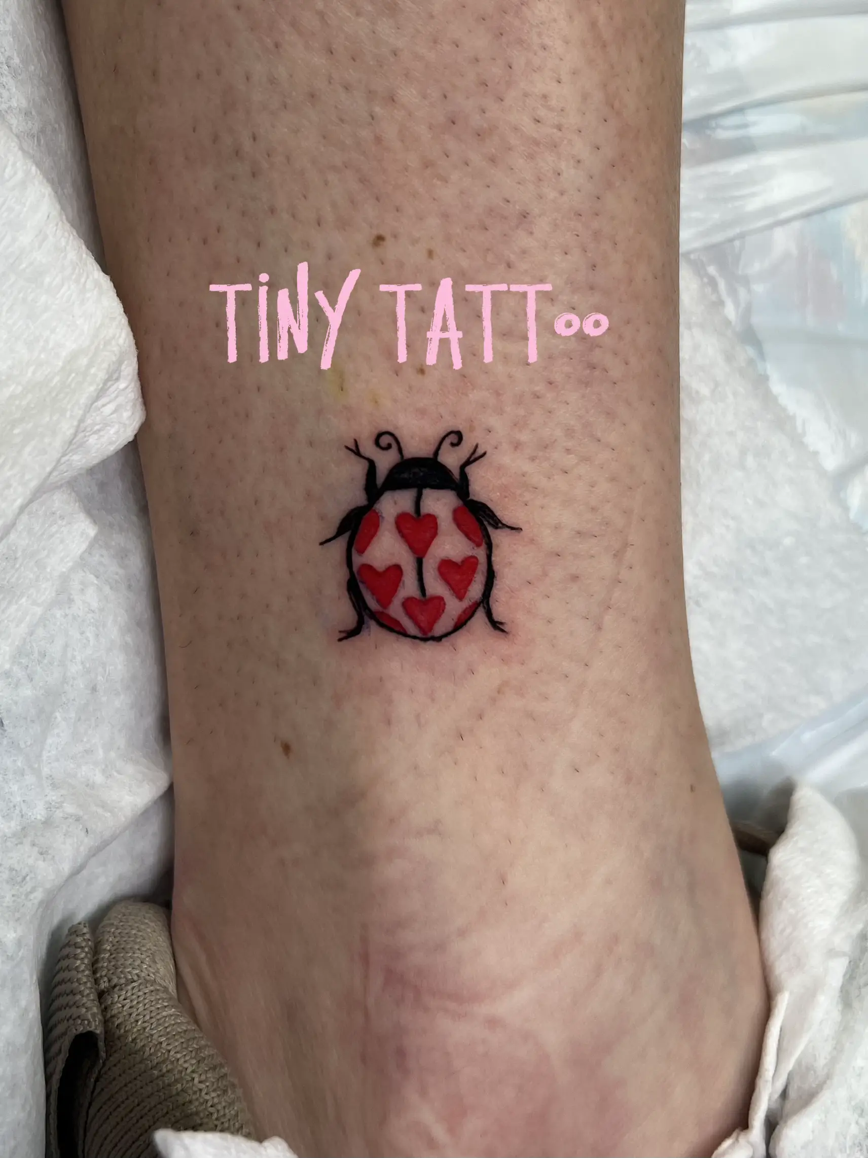 bug tattoo ideas 0093