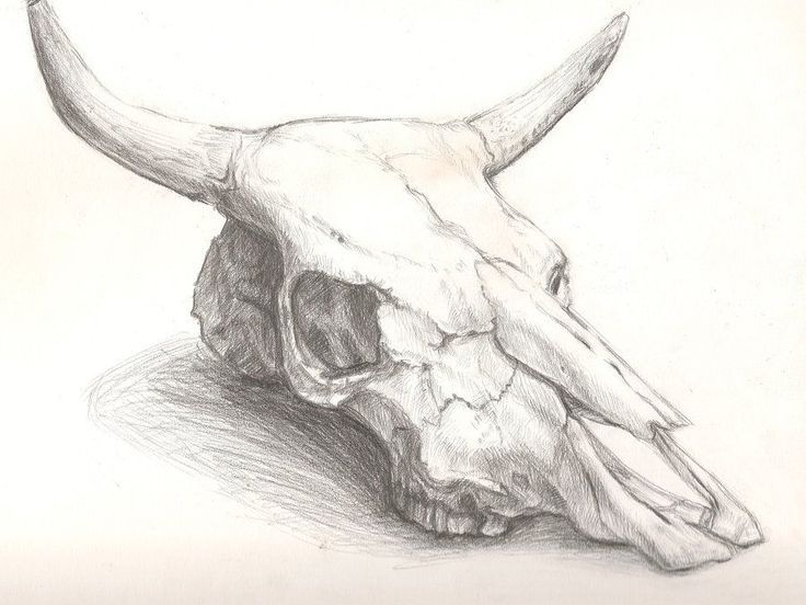 Bull skull tattoo ideas 0027