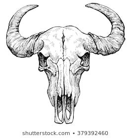 Bull skull tattoo ideas 0050