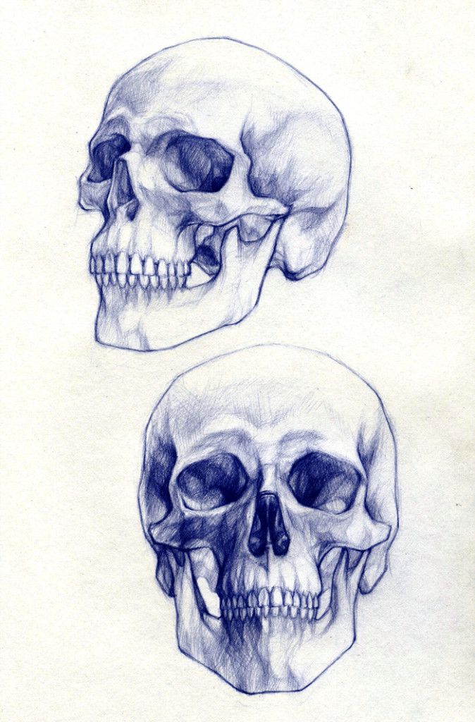 Bull skull tattoo ideas 0068