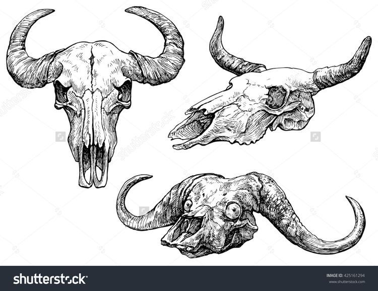 Bull skull tattoo ideas 0077