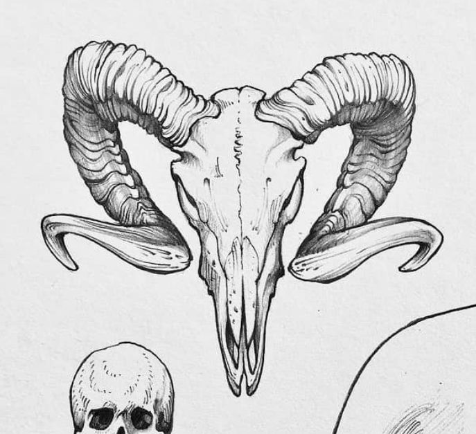 Bull skull tattoo ideas 0092