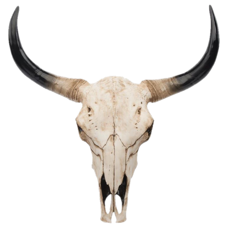 Bull skull tattoo ideas 0094